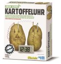 4M Kartoffeluhr - Bausatz zur Gewinnung von alternativer...