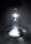 Bottlelight - LED Flaschenlicht