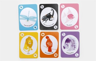 Kartenspiel der wilde Haufen  - ähnlich dem Mau mau Spiel