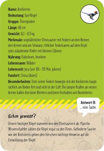 50 Dinosaurier erkennen & staunen
