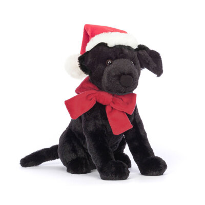 Winter Warmer Pippa black Labrador