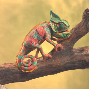 Handpuppe kleines Chamäleon