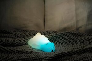 Nachtlicht schlafender Bär