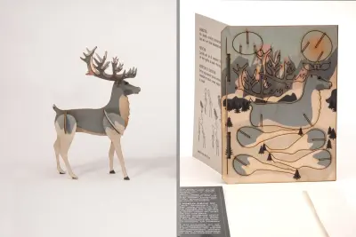 3D Grußkarte - Rentier
