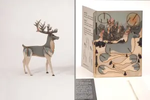3D Grußkarte - Rentier