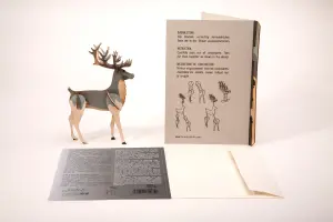 3D Grußkarte - Rentier