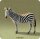 Blitz Zebra Astronaut