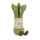 Amuseables Asparagus - lustige Spargel von Jellycat