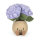 Amuseables Hydrangea von Jellycat