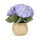 Amuseables Hydrangea von Jellycat