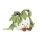 Amuseable Ivy von Jellycat