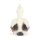 Keli Pelican von Jellycat