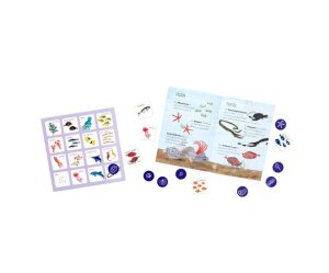 Flossen hoch! Ein Merresbingo