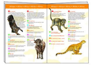 Entdeckerpuzzle & Buch - Planet der Tiere von Djeco